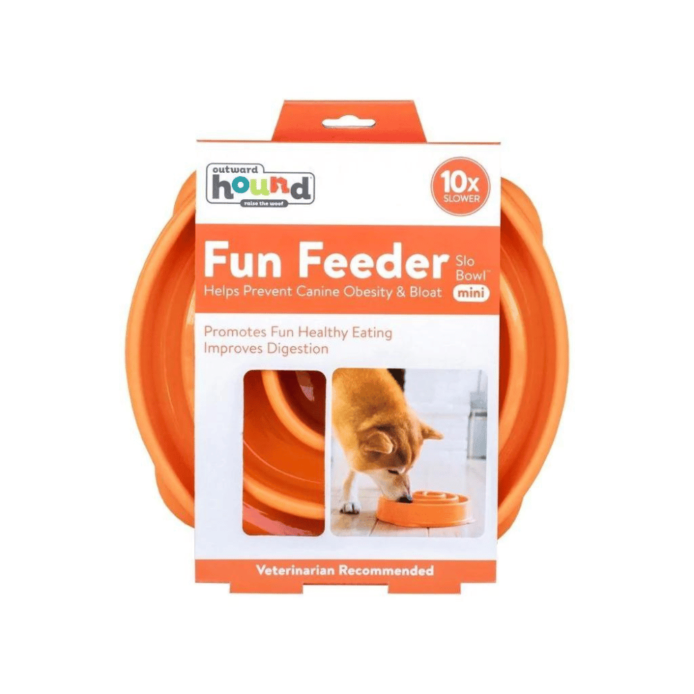 Outward Hound Fun Feeder Slow Bowl (Mini)