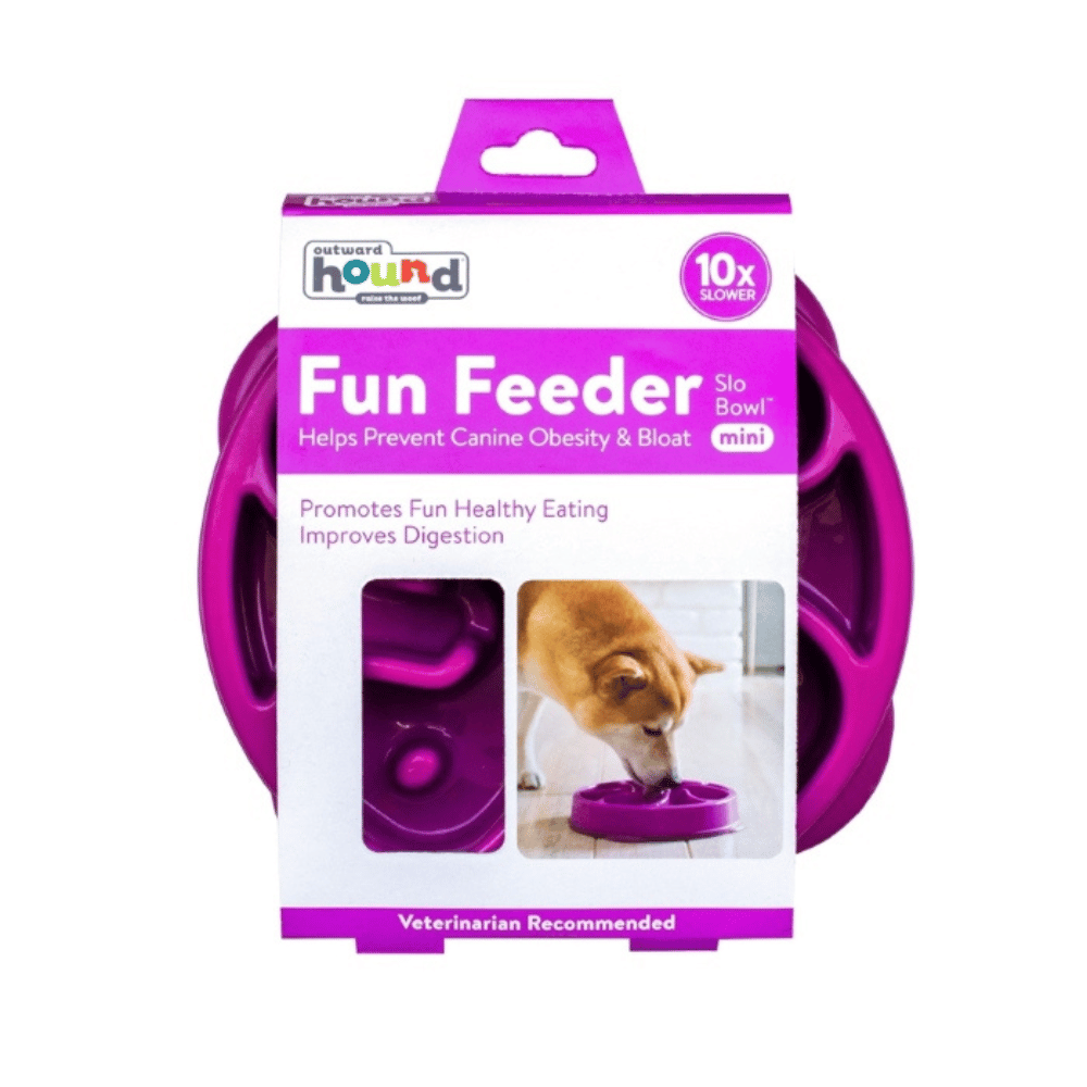 Outward Hound Fun Feeder Slow Bowl (Mini)