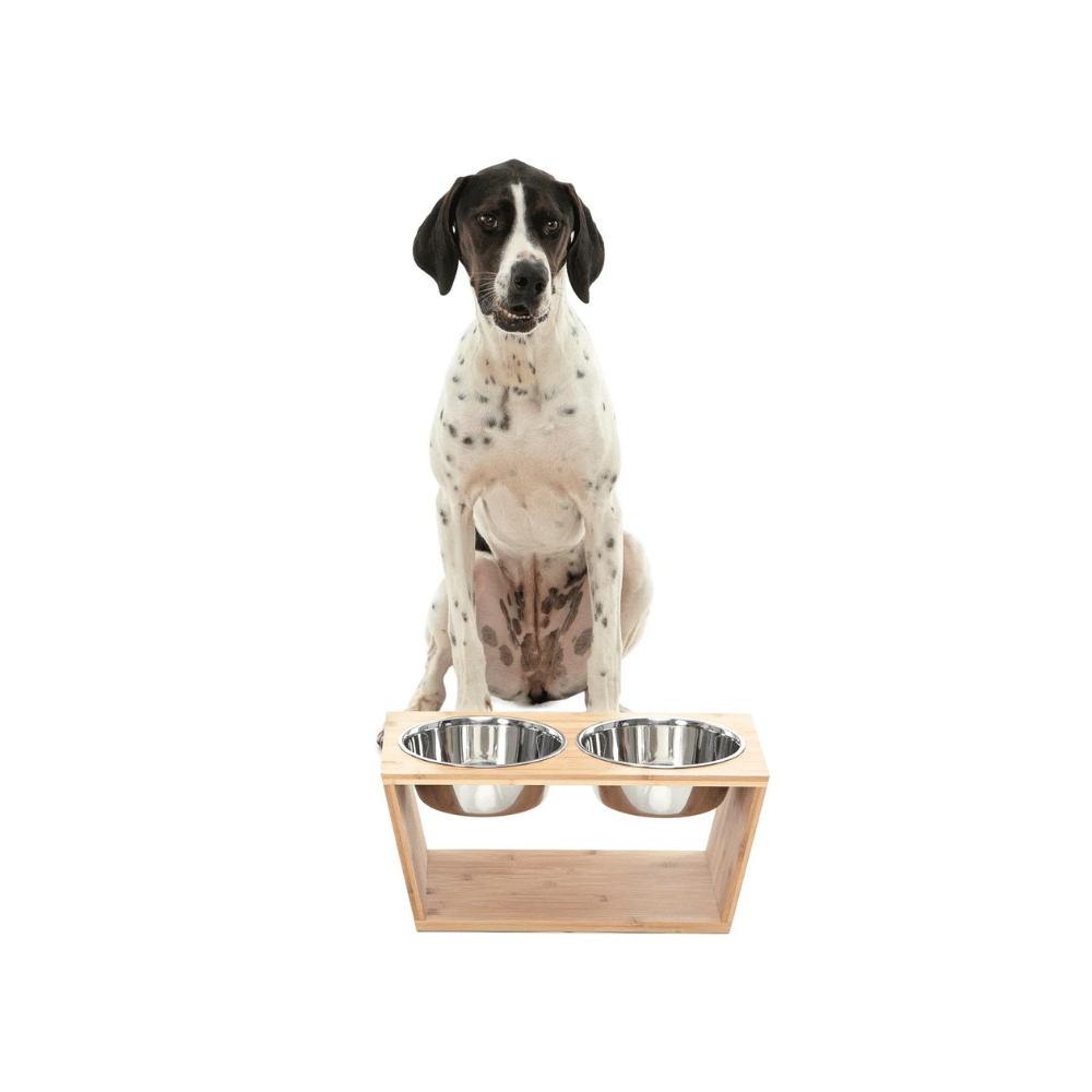 Charlie's Bamboo Dog Feeder With Stainless Steel Bowls (Natural)