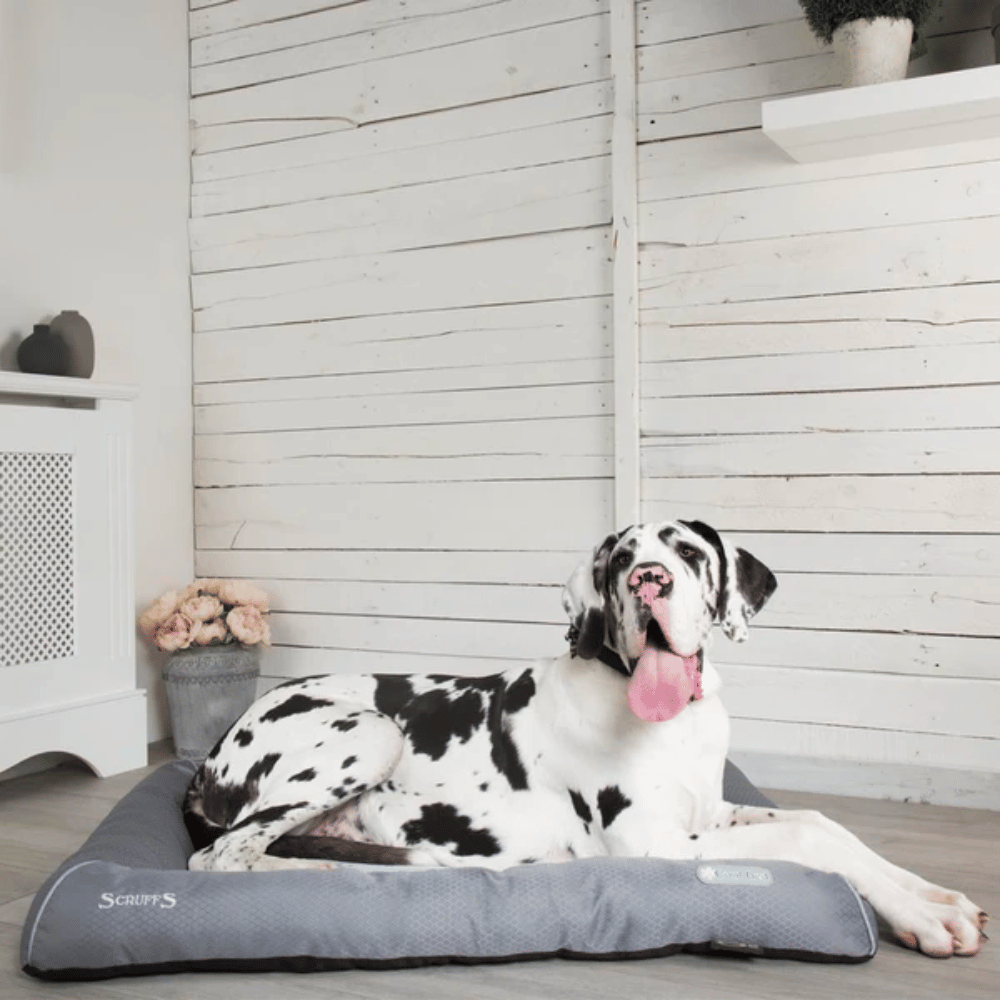 Scruffs Cooling Bed - Little Pet World