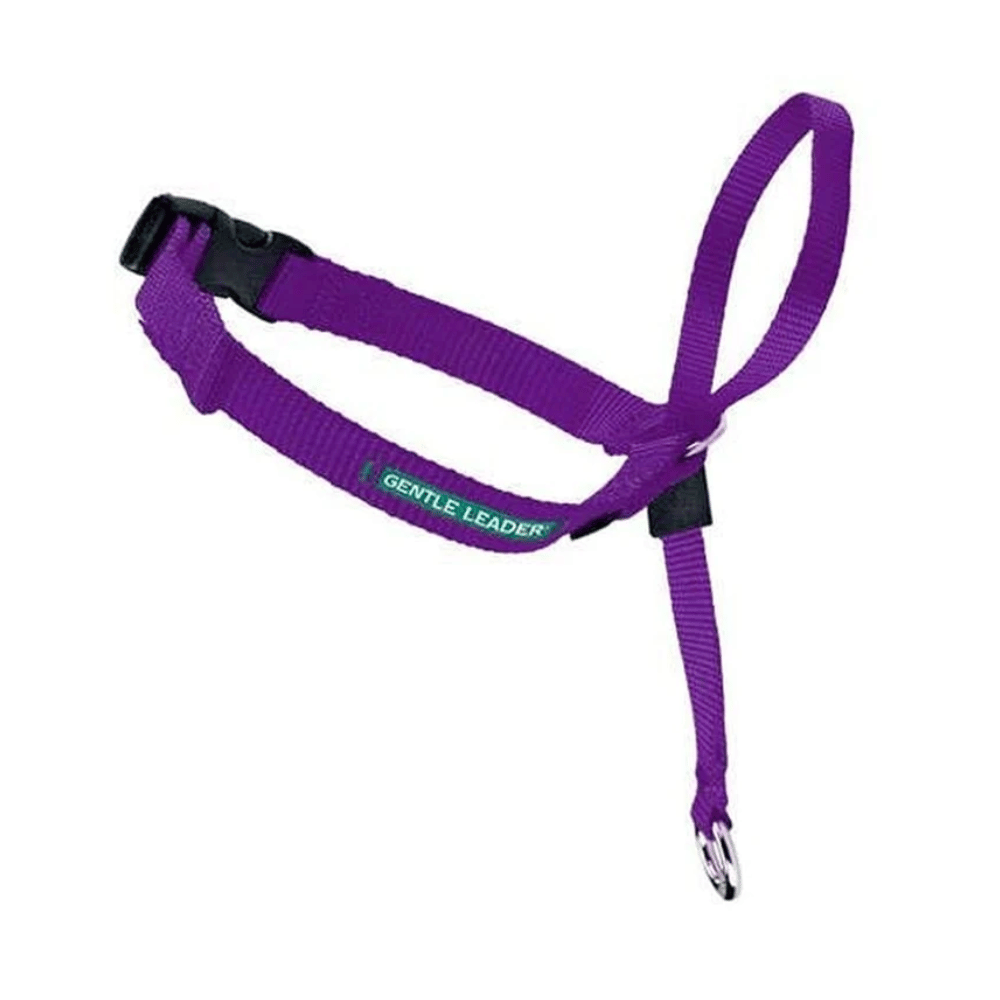 Gentle Leader Headcollar - Little Pet World