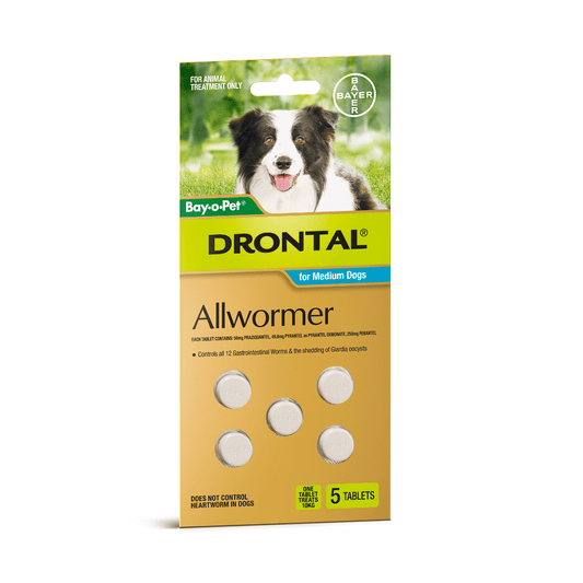 Drontal Allwormer Tablets - Little Pet World