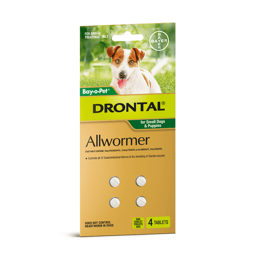 Drontal Allwormer Tablets - Little Pet World