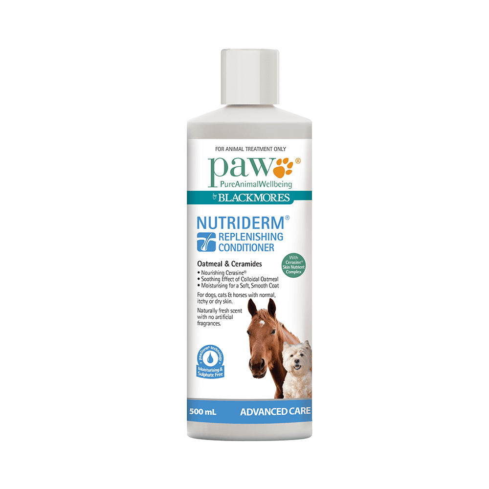 PAW Blackmores NutriDerm Replenishing Conditioner - 500 ml - Little Pet World