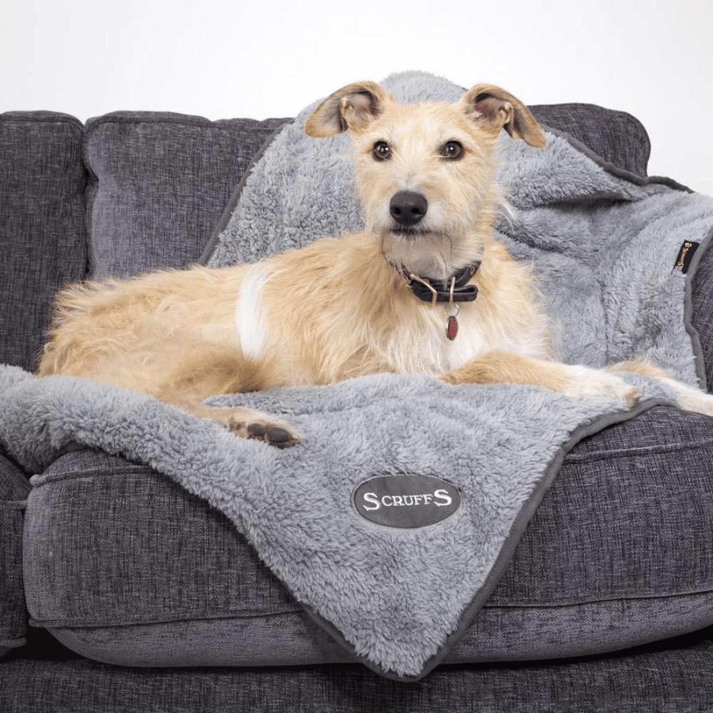 Scruffs Cosy Blanket (Grey 110x72cm)