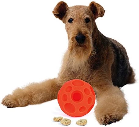 Omega Paw Extreme Treat Ball Treat & Food Dispensing Toy for Dog