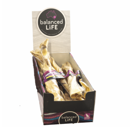 Balanced Life 12" (30cm) Kangaroo Tail Twist Treat Box Of 12