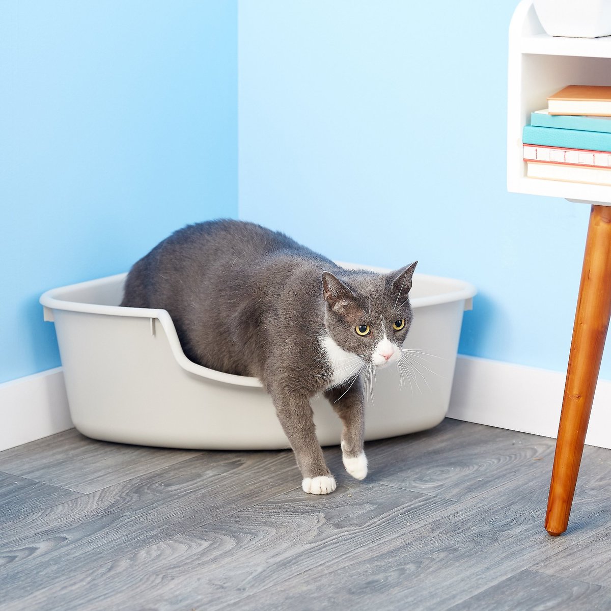 Smartcat Corner Litter Box for Cats(Gray)