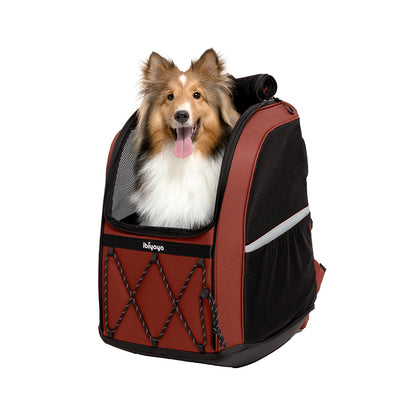 Ibiyaya Champion Large Dog Carrier Backpack - Maroon