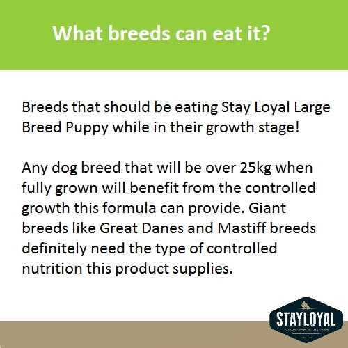 Stay Loyal Large Breed Puppy GRAIN FREE (13kg)