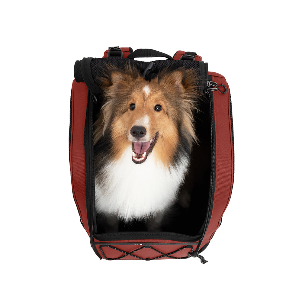 Ibiyaya Champion Large Dog Carrier Backpack - Maroon