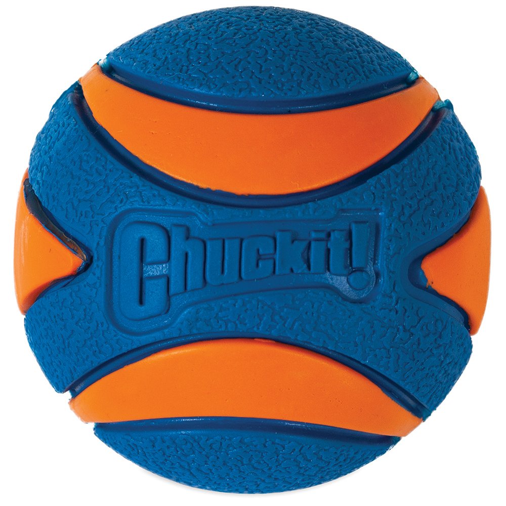 ChuckIt! Ultra Squeaker Ball