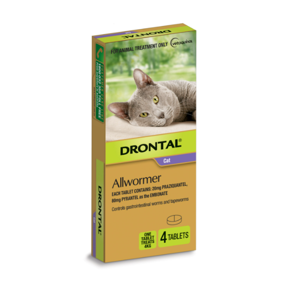 Drontal Allwormer Tablets for Small Cats and Kittens up to 4kg Purple