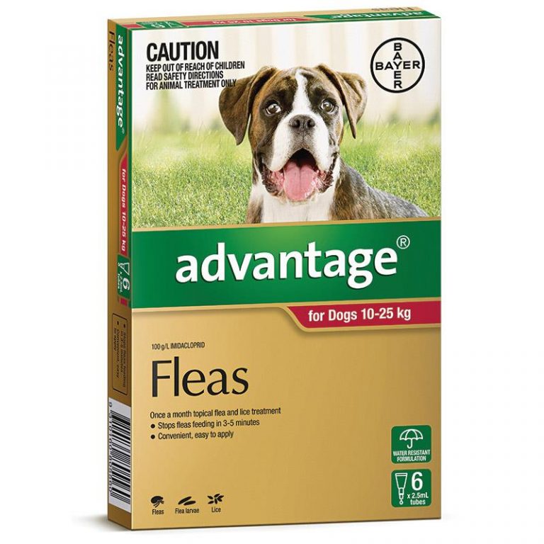 Advantage Fleas Dogs 10kg to 25kg Red