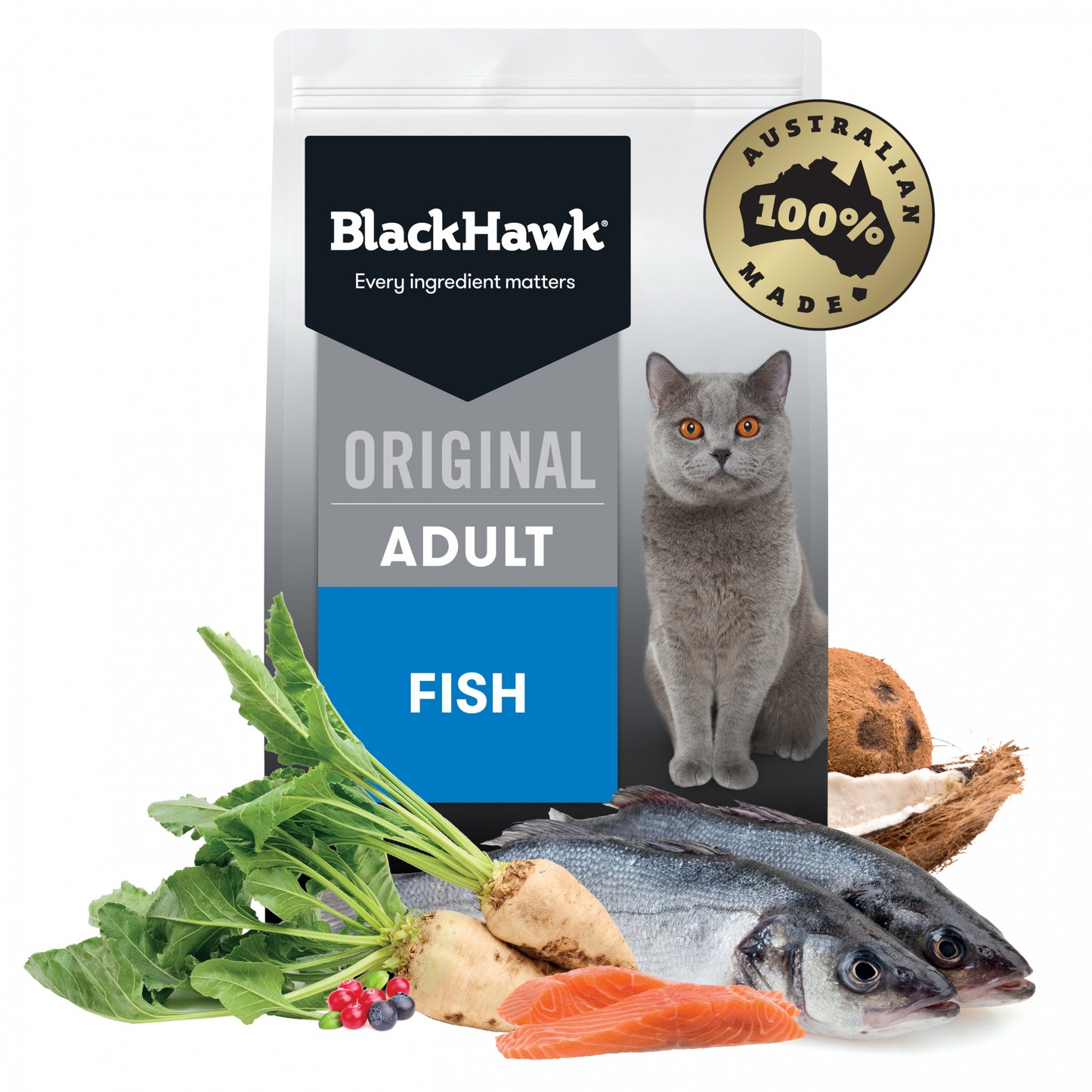 Black Hawk Adult Cat Fish