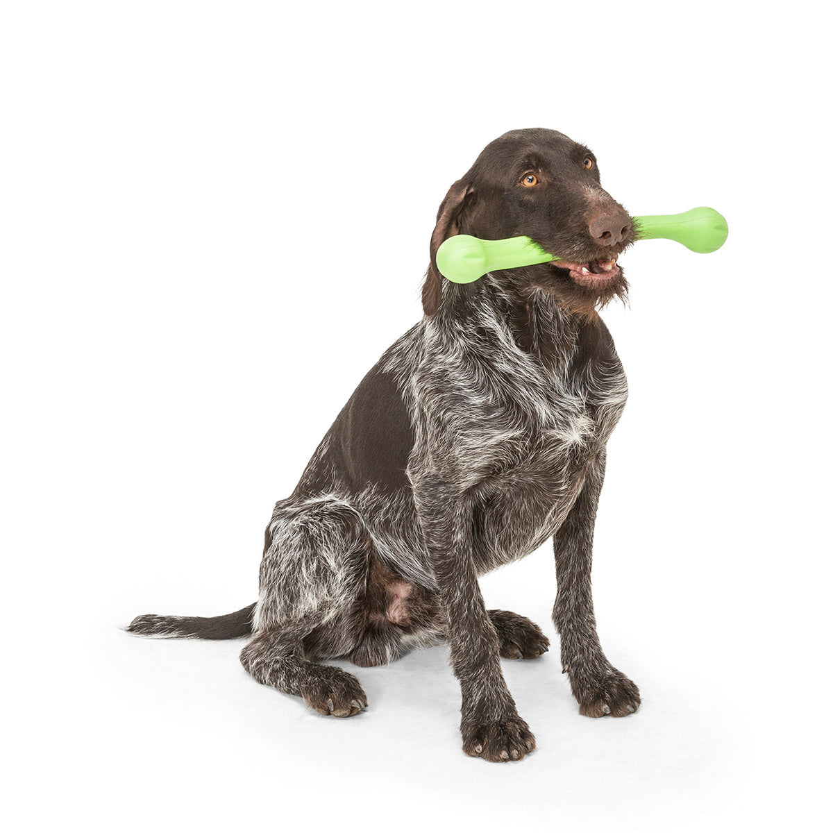 West Paw Zwig Tug & Fetch Stick Dog Toy