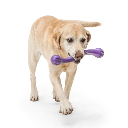 West Paw Zwig Tug & Fetch Stick Dog Toy