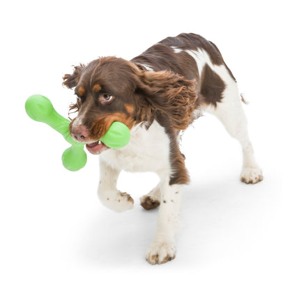 West Paw Skamp Flyer-Inspired Fetch Dog Toy