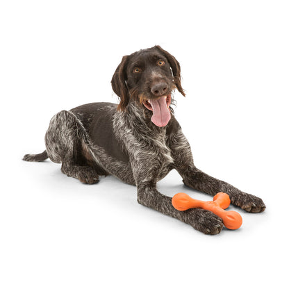 West Paw Skamp Flyer-Inspired Fetch Dog Toy