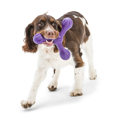 West Paw Skamp Flyer-Inspired Fetch Dog Toy