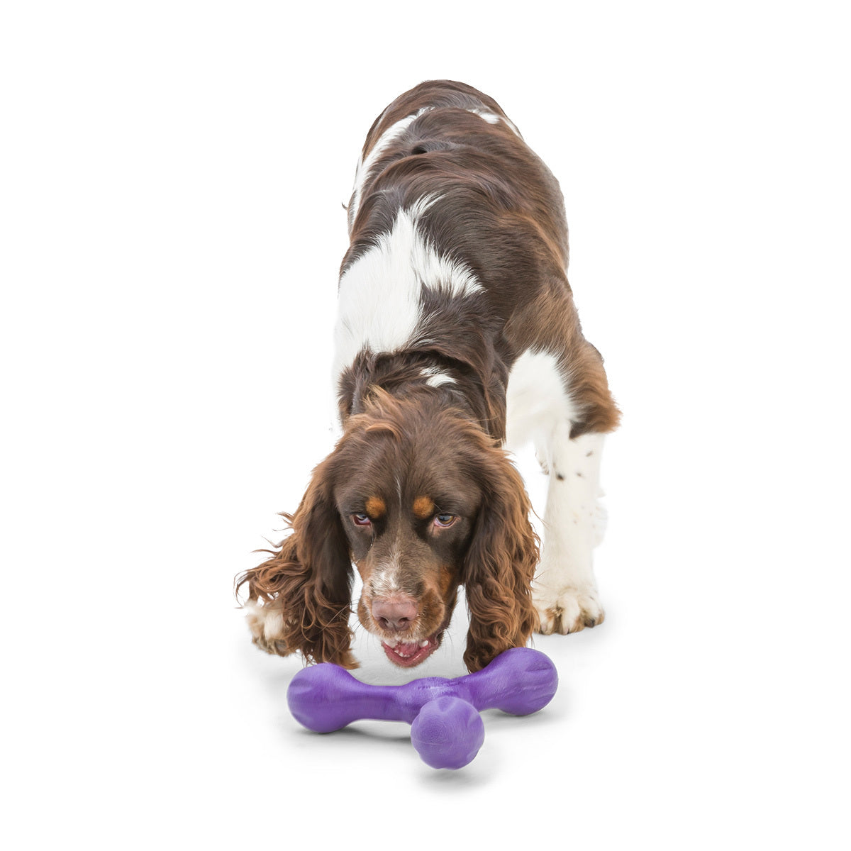 West Paw Skamp Flyer-Inspired Fetch Dog Toy