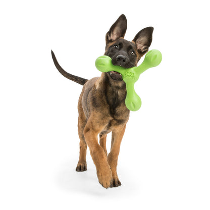 West Paw Skamp Flyer-Inspired Fetch Dog Toy