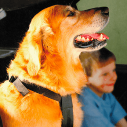 Beau Pets Car Harness