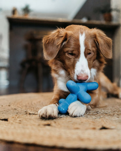 Charming Pet Latex Squeaker Dog Toy - Blue Balloon Dog - Large