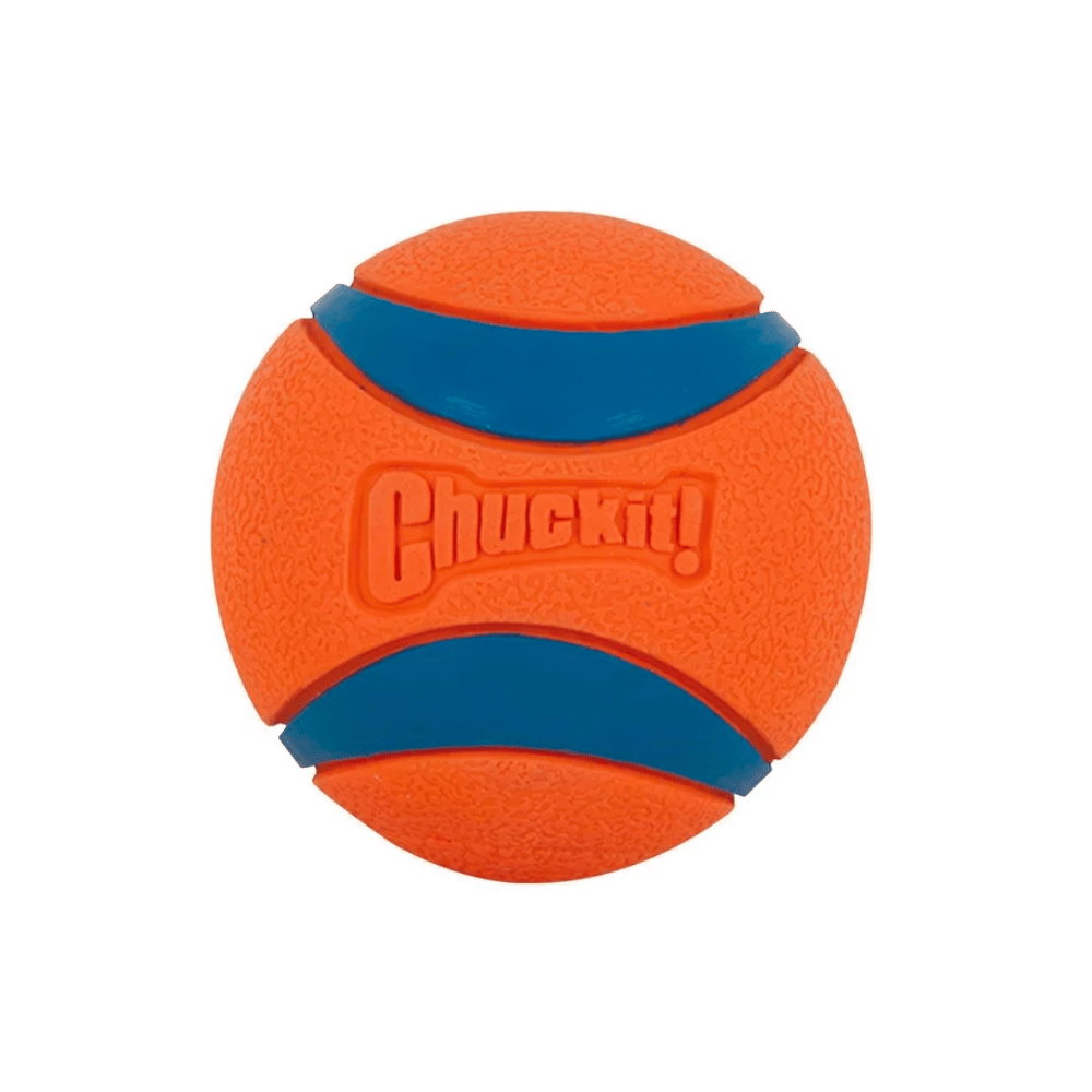 ChuckIt! Ultra Ball - 2 Pack (Medium) - Little Pet World