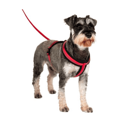 Company of Animals Comfy Harness - Little Pet World