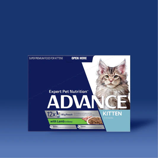 Advance Pouches Kitten Lamb in Gravy (12 x 85g)