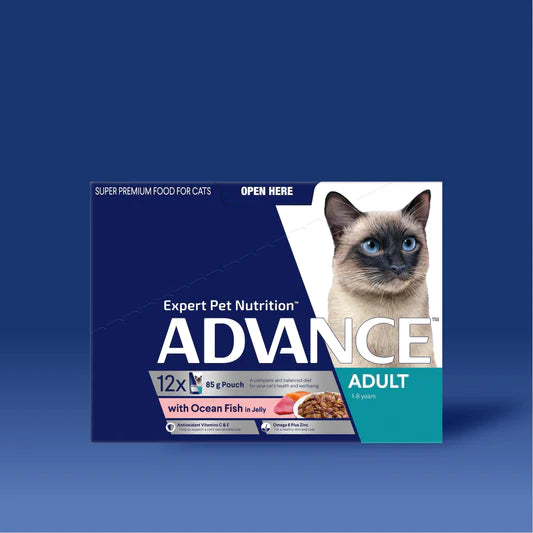 Advance Pouches Adult Cat Ocean Fish in Jelly (12 x 85g)