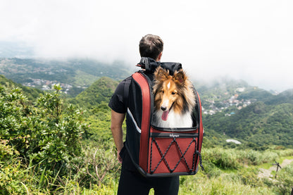 Ibiyaya Champion Large Dog Carrier Backpack - Maroon