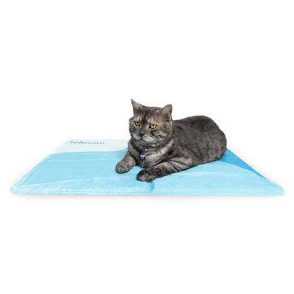 Ibiyaya Chill Pad Pet Cooling Mat - No Water or Power Required 50x65cm