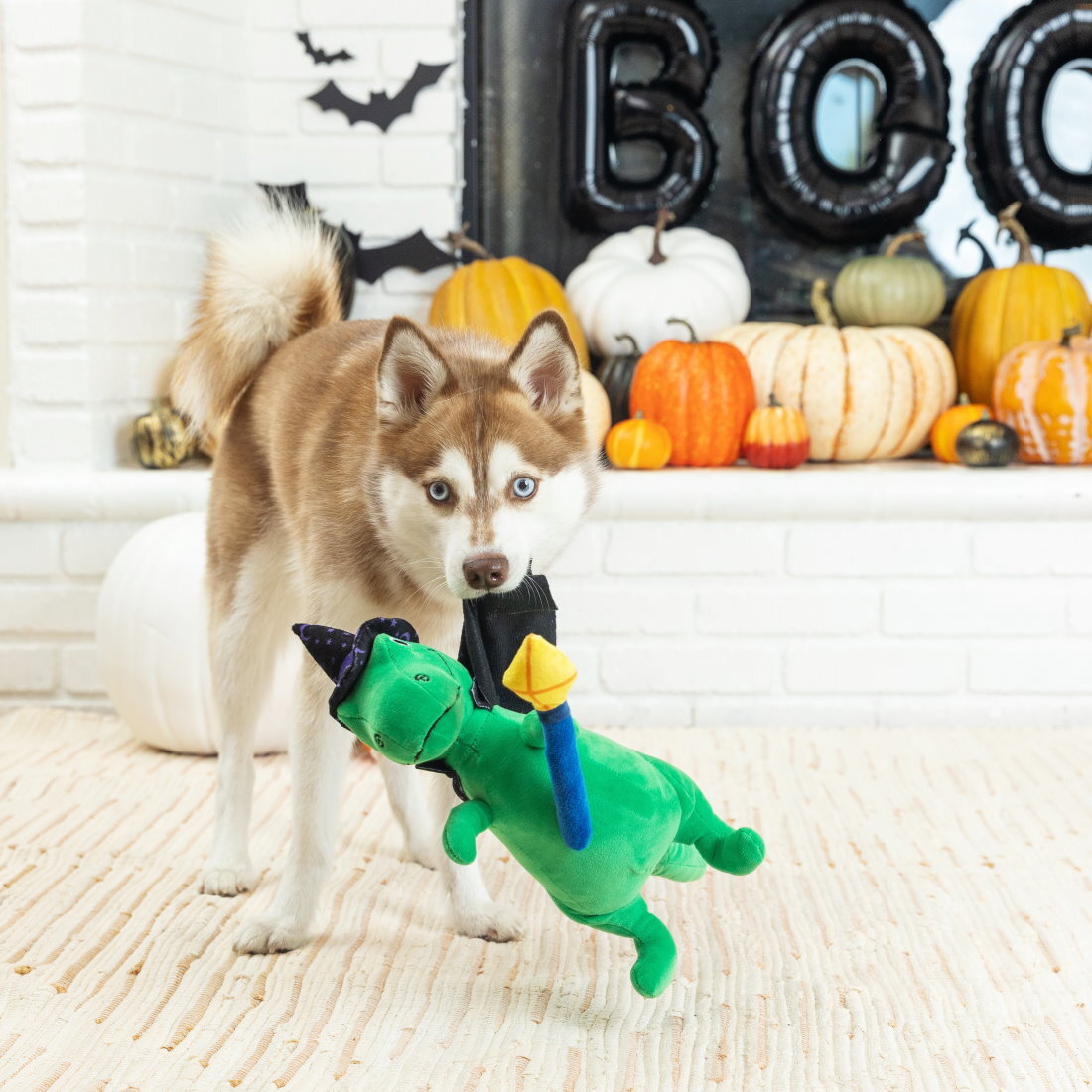 Fringe Studio Halloween Plush Squeaker Dog Toy - Spell-A-Saurus Dino Witch