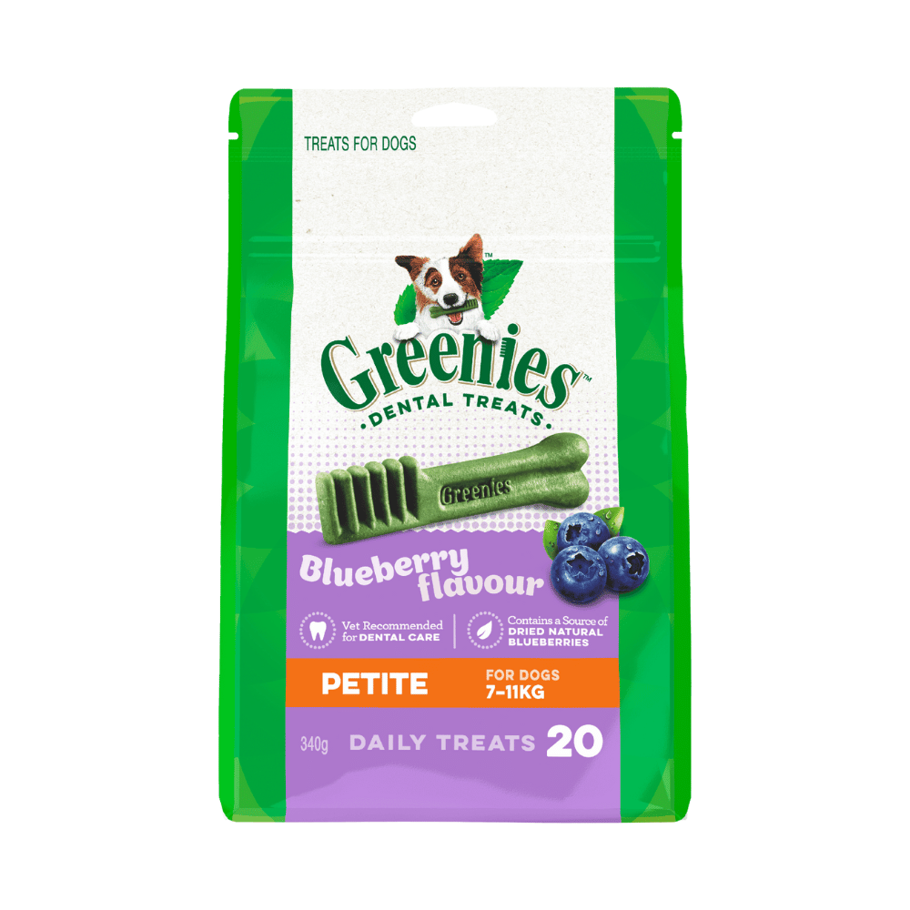 Greenies Dental Treats Blueberry - Little Pet World