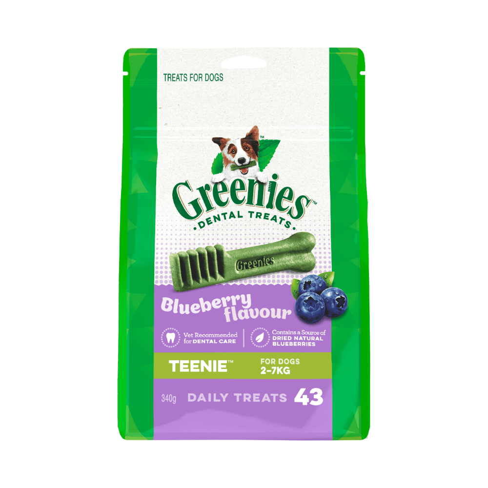 Greenies Dental Treats Blueberry - Little Pet World