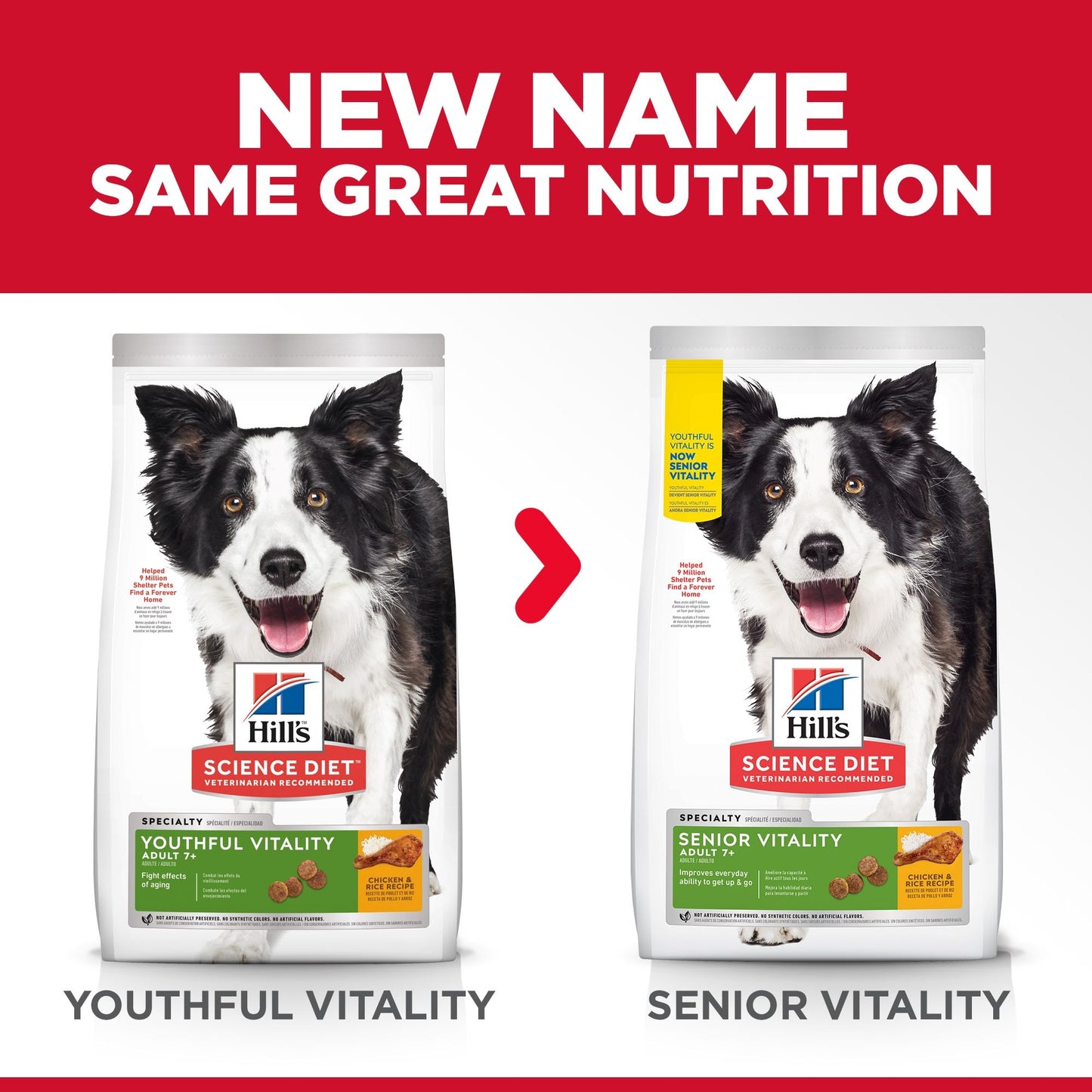 Hill's Science Diet Adult Dog (7+) Senior Vitality