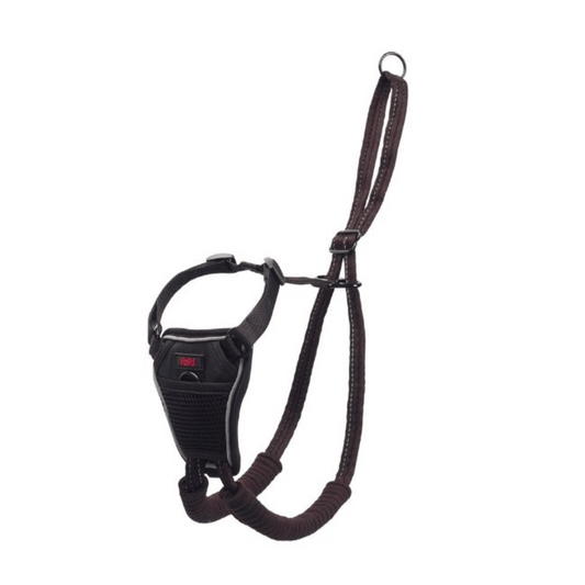 Halti No Pull Harness - Little Pet World