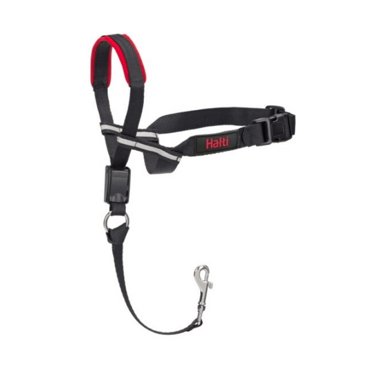 Halti Optilift Headcollar - Little Pet World