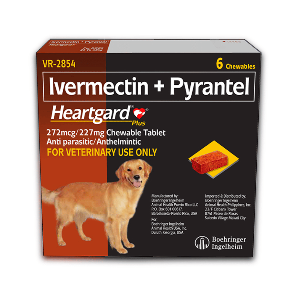 Heartgard Plus Dogs 23 - 45kg (Brown) - Little Pet World – little pet world