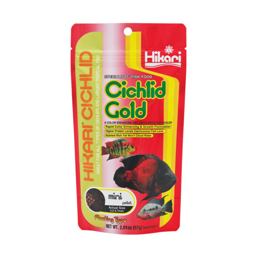 Hikari Cichlid Gold - Mini Floating Pellet - Little Pet World