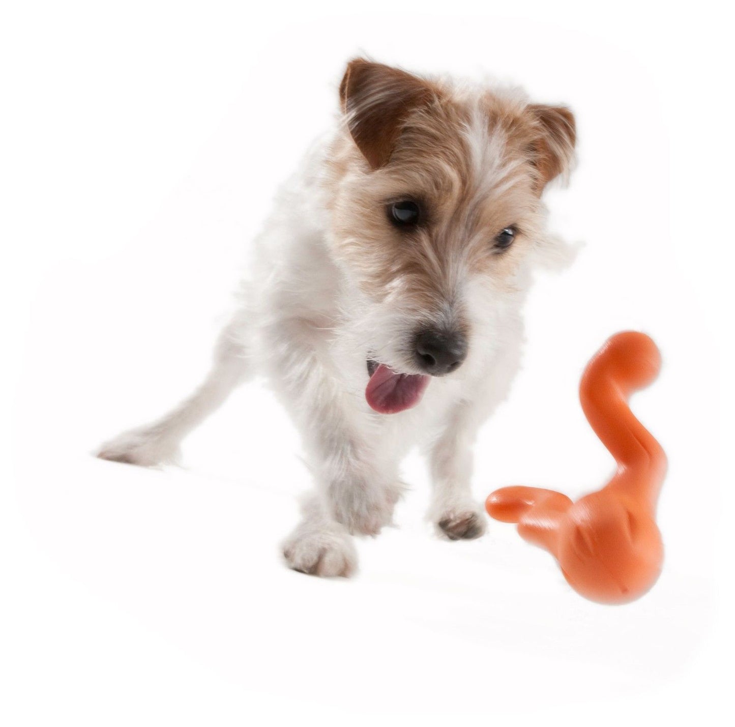 West Paw Tizzi Treat & Tug Toy for Tough Dogs