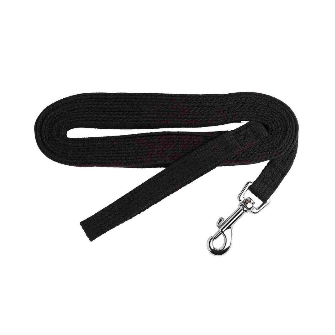 Beau Pets Training Lead - Little Pet World – little pet world