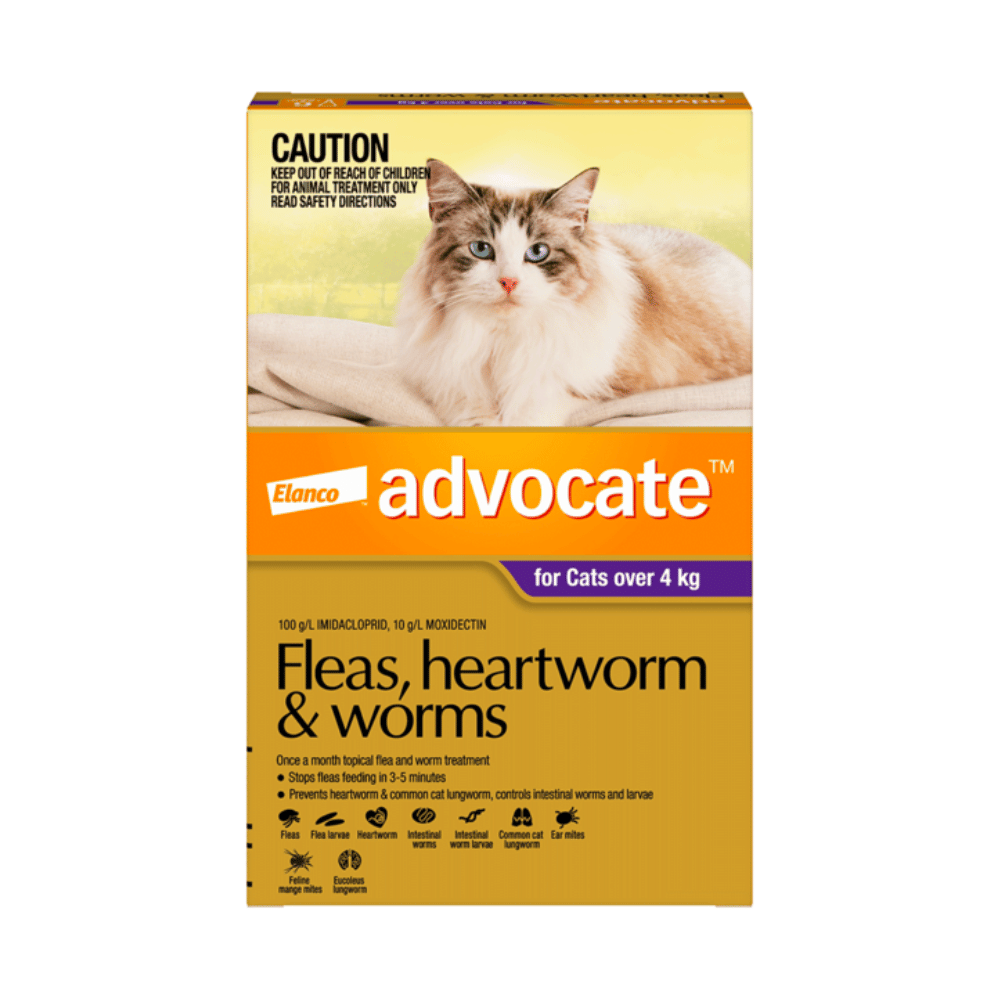 Advocate Fleas, Heartworm & Worms for Cats over 4kg Purple 1 pack (1 x 0.8ml Tube)