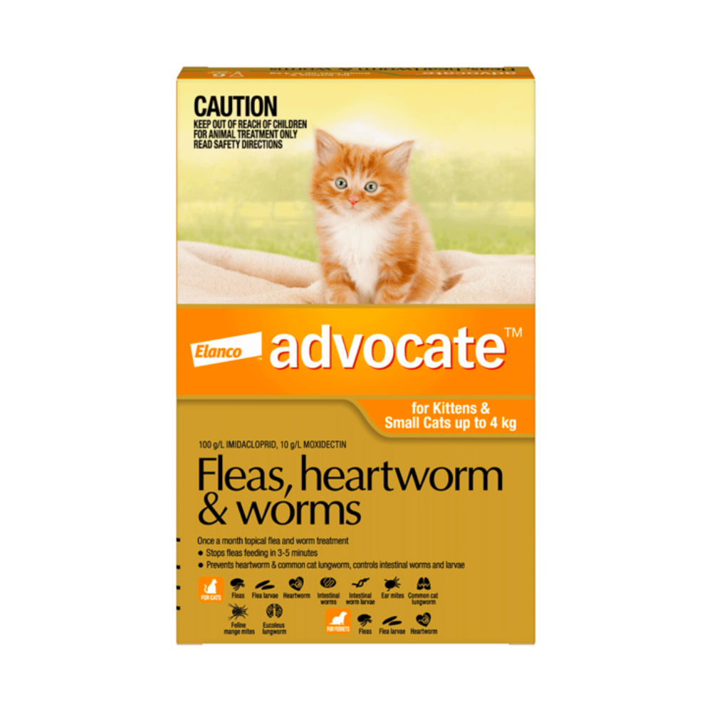 Advocate Fleas, Heartworm & Worms for Kittens & Small Cats up to 4kg Orange 1 pack (1 x 0.4ml Tube)