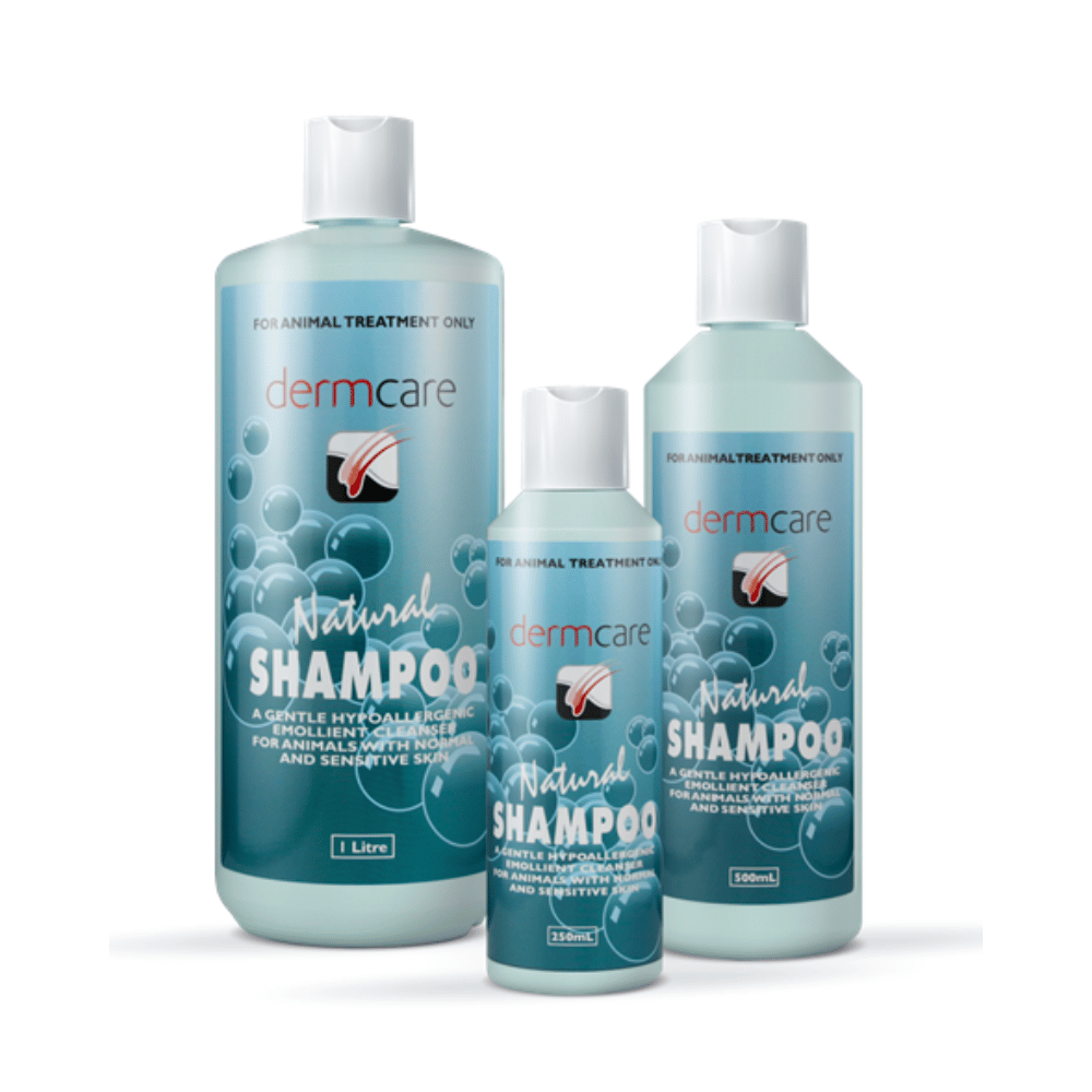 Dermcare Natural Shampoo