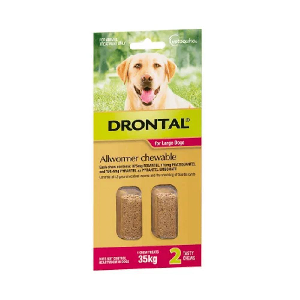 Drontal Allwormer Chewable for Large Dogs (Red) - Little Pet World