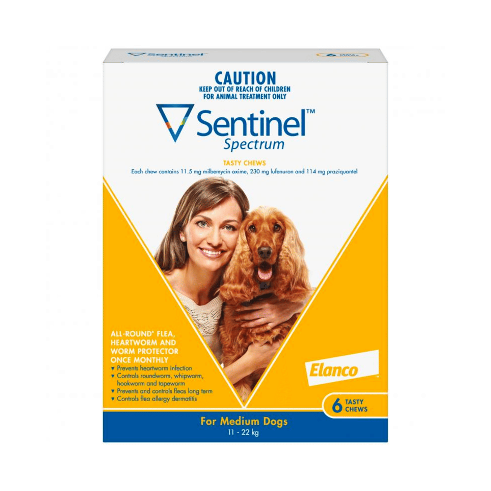 Sentinel Spectrum For Dogs 11 - 22kg (Yellow) - Little Pet World