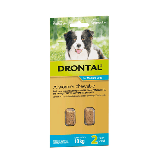 Drontal Allwormer Chewable for Medium Dogs (Aqua)